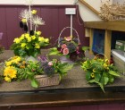 Special Floral Hobby Afternoons June 2015 part four