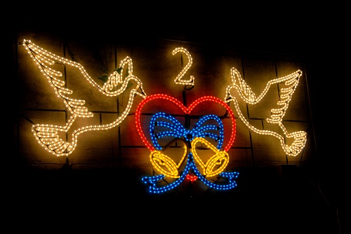  2 Turtle Doves 2013