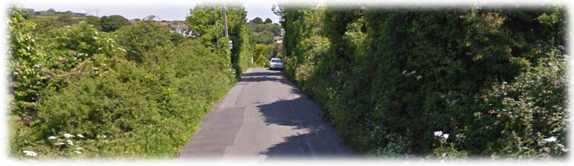 Frist lane - narrow rural highway with no road markings Frist lane - narrow rural highway with no road markings